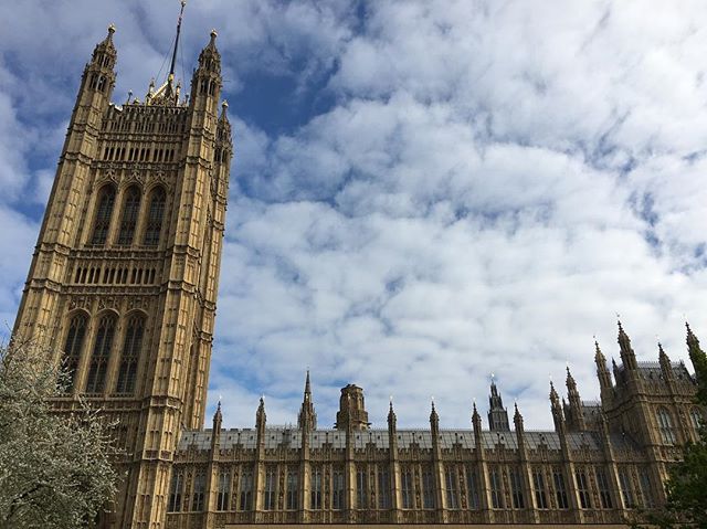Houses of Parliament looking well…